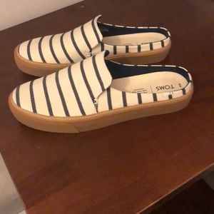 Tom’s Striped Mule